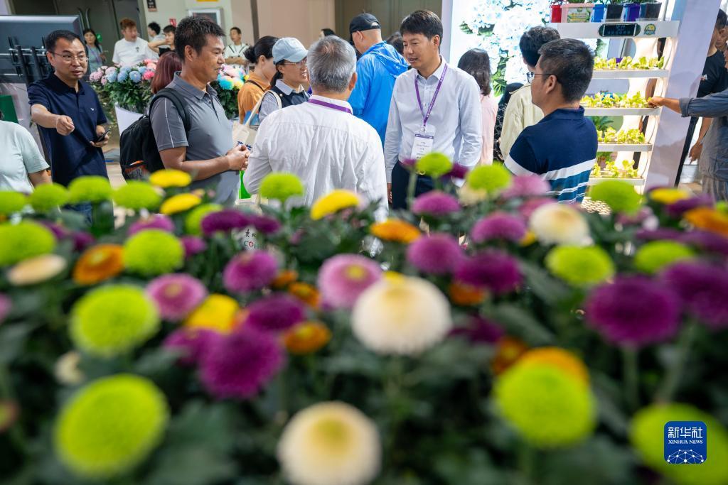 棋牌充钱有哪些